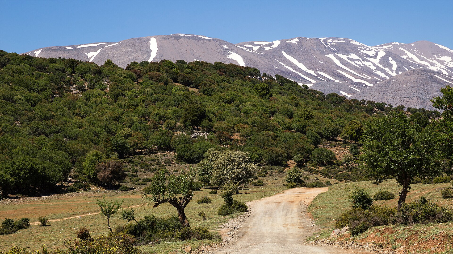 View across the Cretan landscape toward Mount Psiloritis (Mount Ida), the island's highest range, under a wide sky