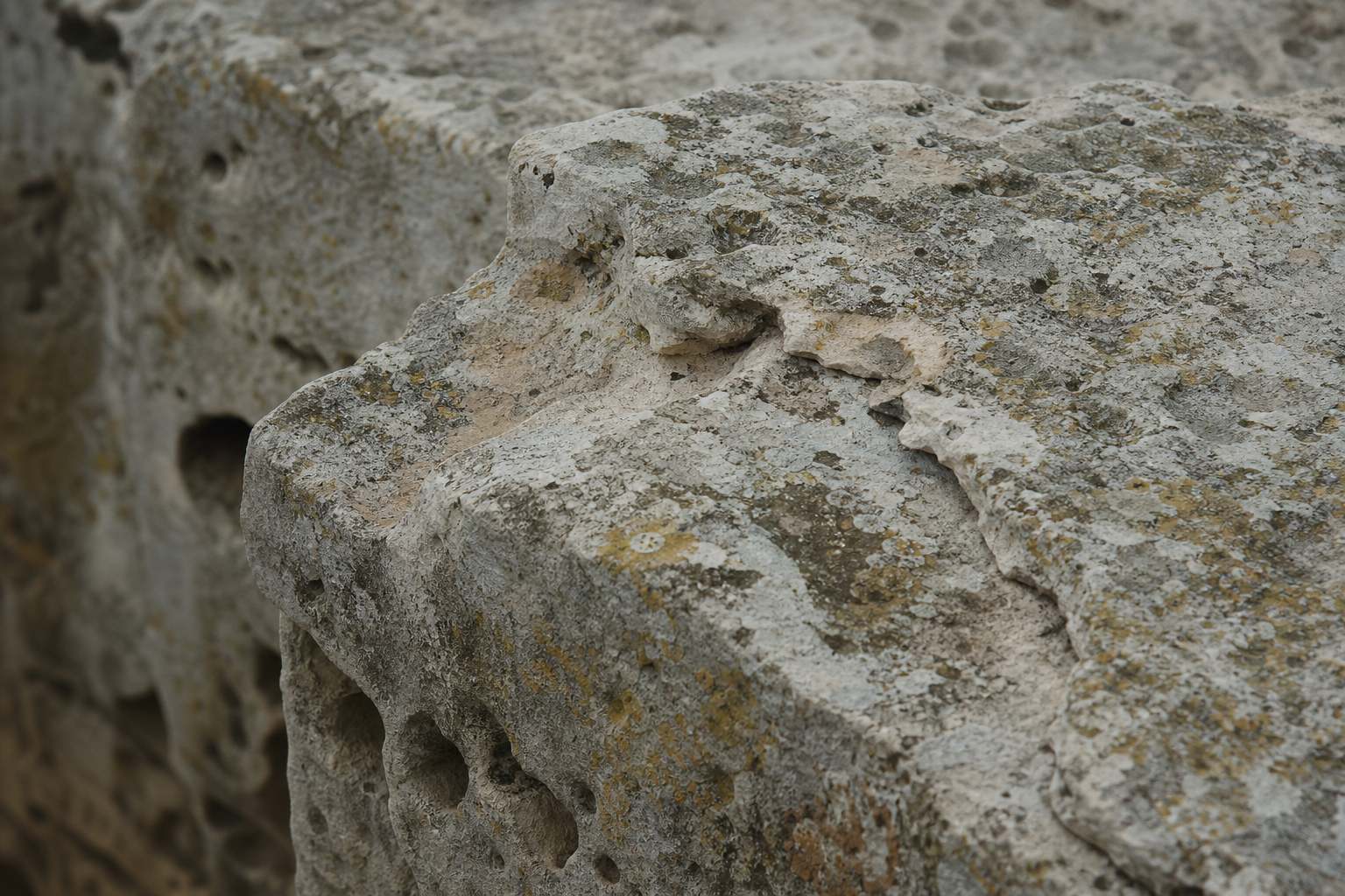 Weathered Cretan limestone with lichen in restrained indirect light