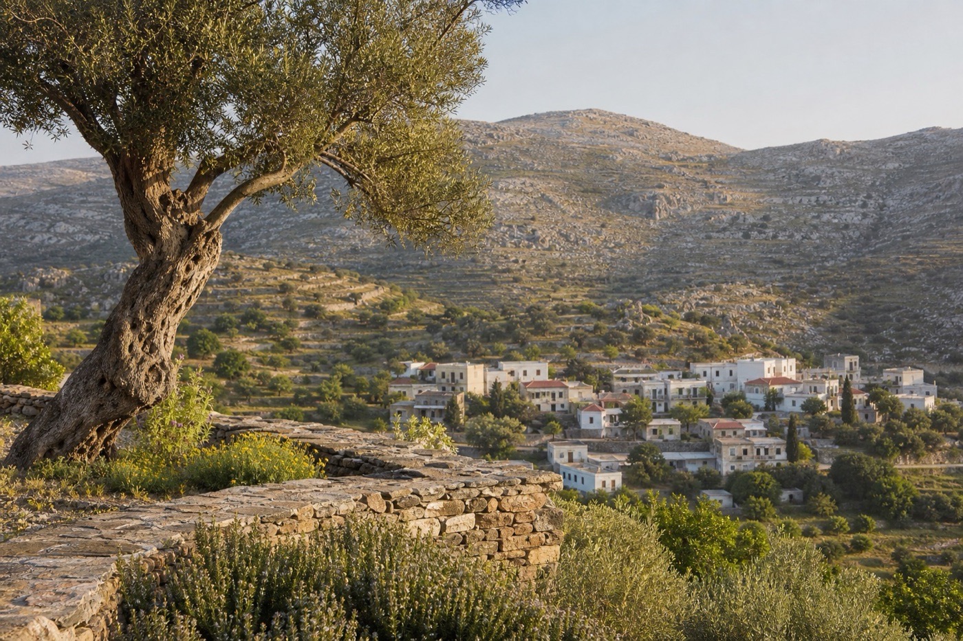Spring terrace with olive trees, wildflowers, herbs, and a Cretan village in the distance