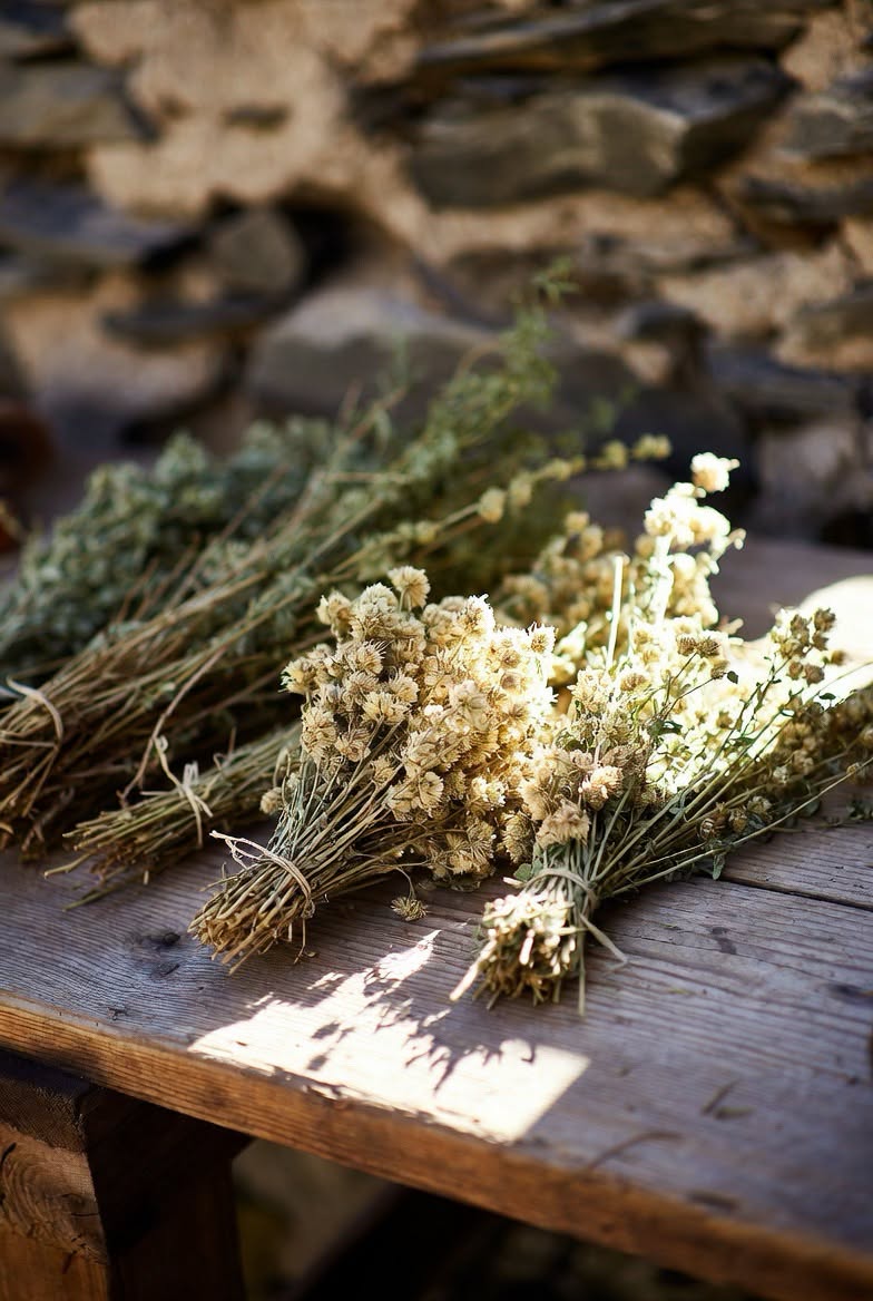 Dried malotira mountain tea sprigs ready for brewing