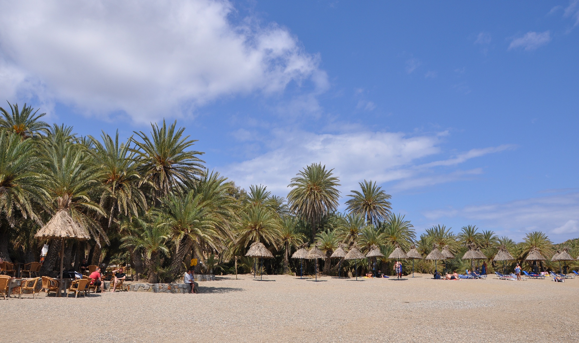 Vai Beach with Phoenix theophrasti palms behind the sandy bay